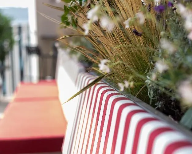 Hostel Jost Centre St Roch Montpellier